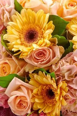 Букет Кружевная нежность 