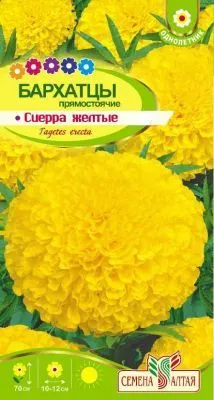 Бархатцы Сиерра Желтые (цветной пакет) 0,3г; Семена Алтая фото в интернет-магазине Флоранж