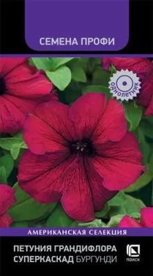 Петуния грандифлора Суперкаскад Бургунди (цветной пакет) 10шт; Поиск фото в интернет-магазине Флоранж