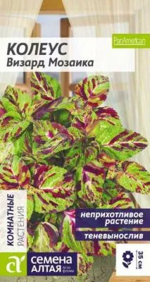 Колеус Визард Мозаика (цветной пакет) 8шт; Семена Алтая фото в интернет-магазине Флоранж