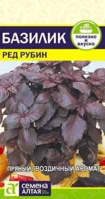 Базилик Ред Рубин (цветной пакет) 0,3г; Семена Алтая фото в интернет-магазине Флоранж