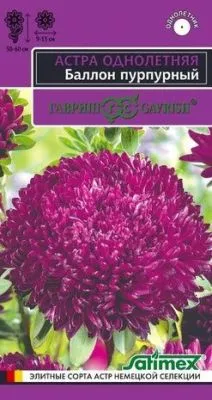 Астра Баллон пурпурный (цветной пакет) 0,05г; Гавриш фото в интернет-магазине Флоранж