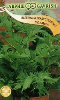 Валерьяна Ульяна (цветной пакет) 0,15г; Гавриш фото в интернет-магазине Флоранж