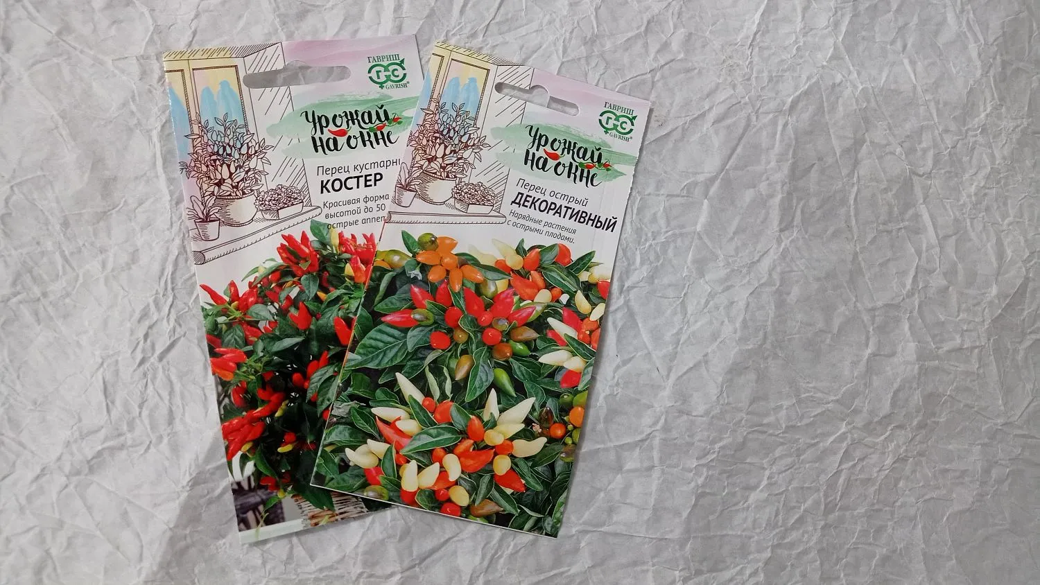 Сезон открыт!