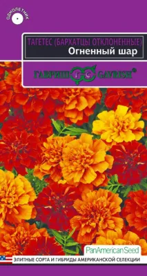 Бархатцы Огненный шар (цветной пакет) 5шт; Гавриш фото в интернет-магазине Флоранж