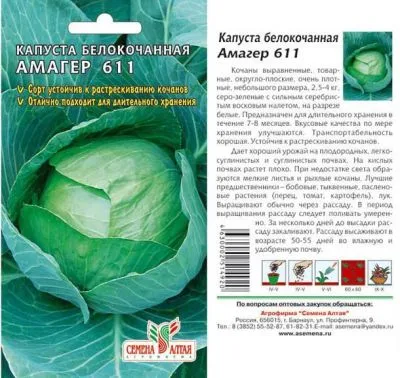 Капуста белокочанная Амагер 611 (цветной пакет) 0,3г; Семена Алтая фото в интернет-магазине Флоранж