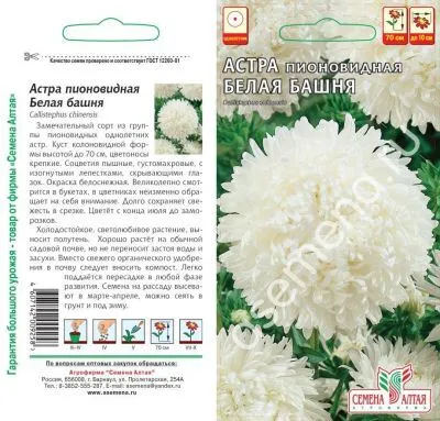 Астра Белая Башня (цветной пакет) 0,2г; Семена Алтая фото в интернет-магазине Флоранж
