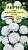Астра Эрфуртский карлик Белая (цветной пакет) 0,3г; Гавриш