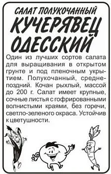 Салат кочанный Кучерявец Одесский (белый пакет) 0,5г; Семена Алтая