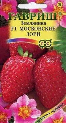 Земляника Московские зори (цветной пакет) 4шт; Гавриш фото в интернет-магазине Флоранж