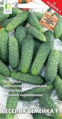 Огурец Веселая семейка F1 (цветной пакет) 12шт; Поиск фото в интернет-магазине Флоранж
