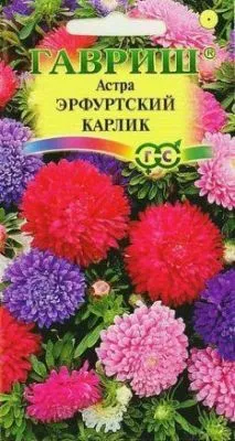 Астра Эрфуртский карлик Смесь (цветной пакет) 0,3г; Гавриш фото в интернет-магазине Флоранж