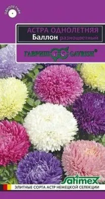 Астра Баллон разноцветный (цветной пакет) 0,05г; Гавриш фото в интернет-магазине Флоранж