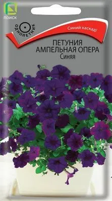 Петуния ампельная Опера Синяя (цветной пакет) 5шт; Поиск фото в интернет-магазине Флоранж