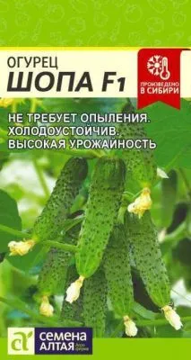 Огурец Шопа (цветной пакет) 5шт; Семена Алтая фото в интернет-магазине Флоранж