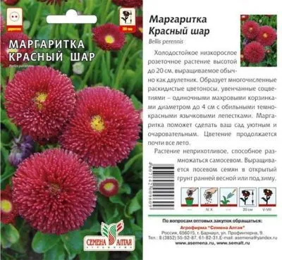 Маргаритка Красный Шар (цветной пакет) 0,05г; Семена Алтая фото в интернет-магазине Флоранж