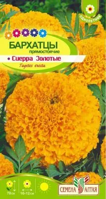 Бархатцы Сиерра Золотые (цветной пакет) 0,3г; Семена Алтая фото в интернет-магазине Флоранж