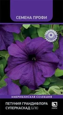 Петуния грандифлора Суперкаскад Блю (цветной пакет) 10шт; Поиск фото в интернет-магазине Флоранж