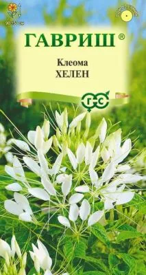 Клеома Хелен (цветной пакет) 0,2г; Гавриш фото в интернет-магазине Флоранж