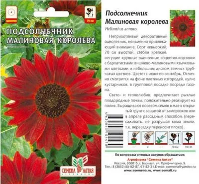 Подсолнечник Малиновая Королева (цветной пакет) 0,5г; Семена Алтая фото в интернет-магазине Флоранж
