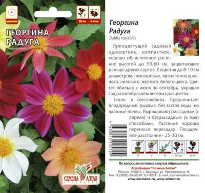 Георгина Радуга (цветной пакет) 0,2г; Семена Алтая фото в интернет-магазине Флоранж