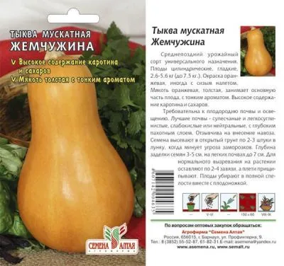 Тыква Жемчужина Мускатная (цветной пакет) 1г; Семена Алтая фото в интернет-магазине Флоранж