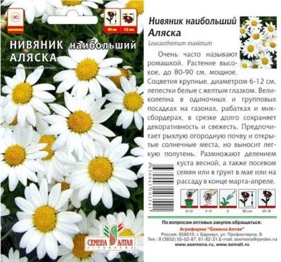 Нивяник Аляска (цветной пакет) 0,1г; Семена Алтая фото в интернет-магазине Флоранж