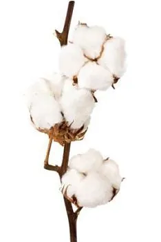 хлопок 7/9 фото вживую в руках, состав, цветовая гамма 