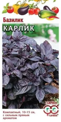 Базилик Карлик фиолетовый (цветной пакет) 0,1г; Гавриш фото в интернет-магазине Флоранж