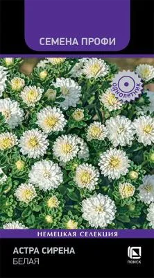 Астра Сирена Белая (Семена Профи)  (цветной пакет) 0,05г; Поиск фото в интернет-магазине Флоранж