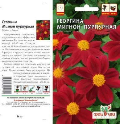 Георгина Мигнон (цветной пакет) 0,2г; Семена Алтая фото в интернет-магазине Флоранж