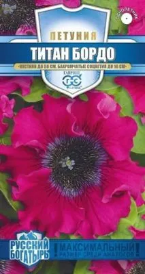 Петуния бахромчатая Титан Бордо (цветной пакет, пробирка) 7шт; Гавриш фото в интернет-магазине Флоранж