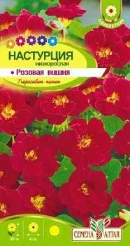 Настурция Розовая вишня (цветной пакет) 1г; Семена Алтая
