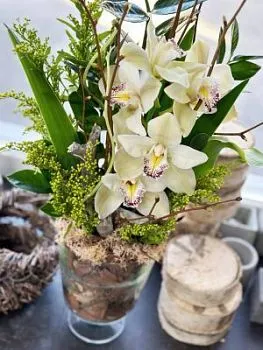 Композиция Мечта. Доставка только курьером! , состав Орхидея, цвет букета Белый, подходит Девушке Маме Учителю