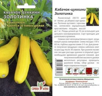 Кабачок Золотинка-Цуккини (цветной пакет) 2г; Семена Алтая фото в интернет-магазине Флоранж