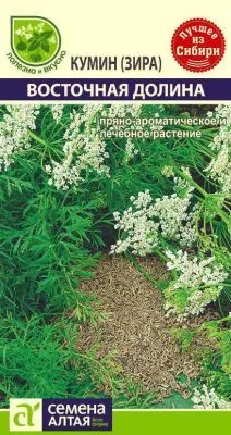 Зелень Кумин (Зира) Восточная Долина (цветной пакет) 1г; Семена Алтая фото в интернет-магазине Флоранж