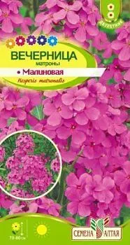 Вечерница Матроны Малиновая (цветной пакет) 0,2г; Семена Алтая