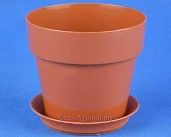 Горшок пластиковый Протея, терракотовый, 11,5х10см, 0,6/0,7л; Россия