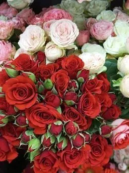 Роза кустовая , состав , цвет букета Фиолетовый, подходит 