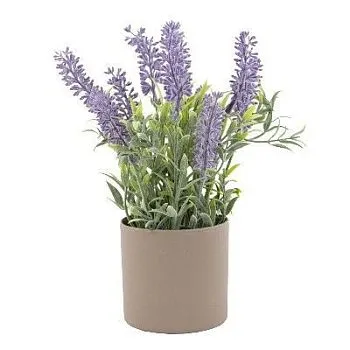 Лаванда в кашпо (пластик), 23см, сиреневый