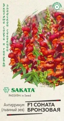 Львиный зев Соната бронзовая F1 (цветной пакет) 7шт; Гавриш фото в интернет-магазине Флоранж