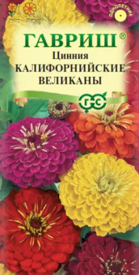 Цинния Калифорнийские великаны, смесь (цветной пакет) 0,3г; Гавриш фото в интернет-магазине Флоранж