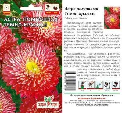 Астра Помпонная Темно-красная (цветной пакет) 0,2г; Семена Алтая фото в интернет-магазине Флоранж