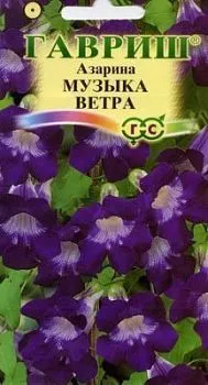 Азарина Музыка ветра (цветной пакет) 4шт; Гавриш