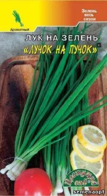 Лук Ранний Пучок (цветной пакет) 035г; Семена Алтая фото в интернет-магазине Флоранж