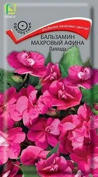 Бальзамин махровый Афина Паллада (цветной пакет) 5шт; Поиск