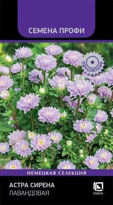 Астра Сирена Лавандовая (Семена Профи)  (цветной пакет) 0,05г; Поиск фото в интернет-магазине Флоранж