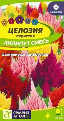 Целозия перистая Лилипут смесь (цветной пакет) 0,3г; Семена Алтая фото в интернет-магазине Флоранж