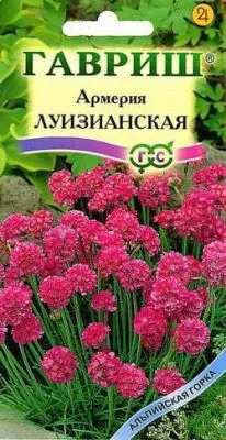 Арктотис Арлекин (цветной пакет) 0,2г; Гавриш фото в интернет-магазине Флоранж