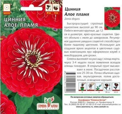 Цинния Алое пламя (цветной пакет) 0,3г; Семена Алтая фото в интернет-магазине Флоранж